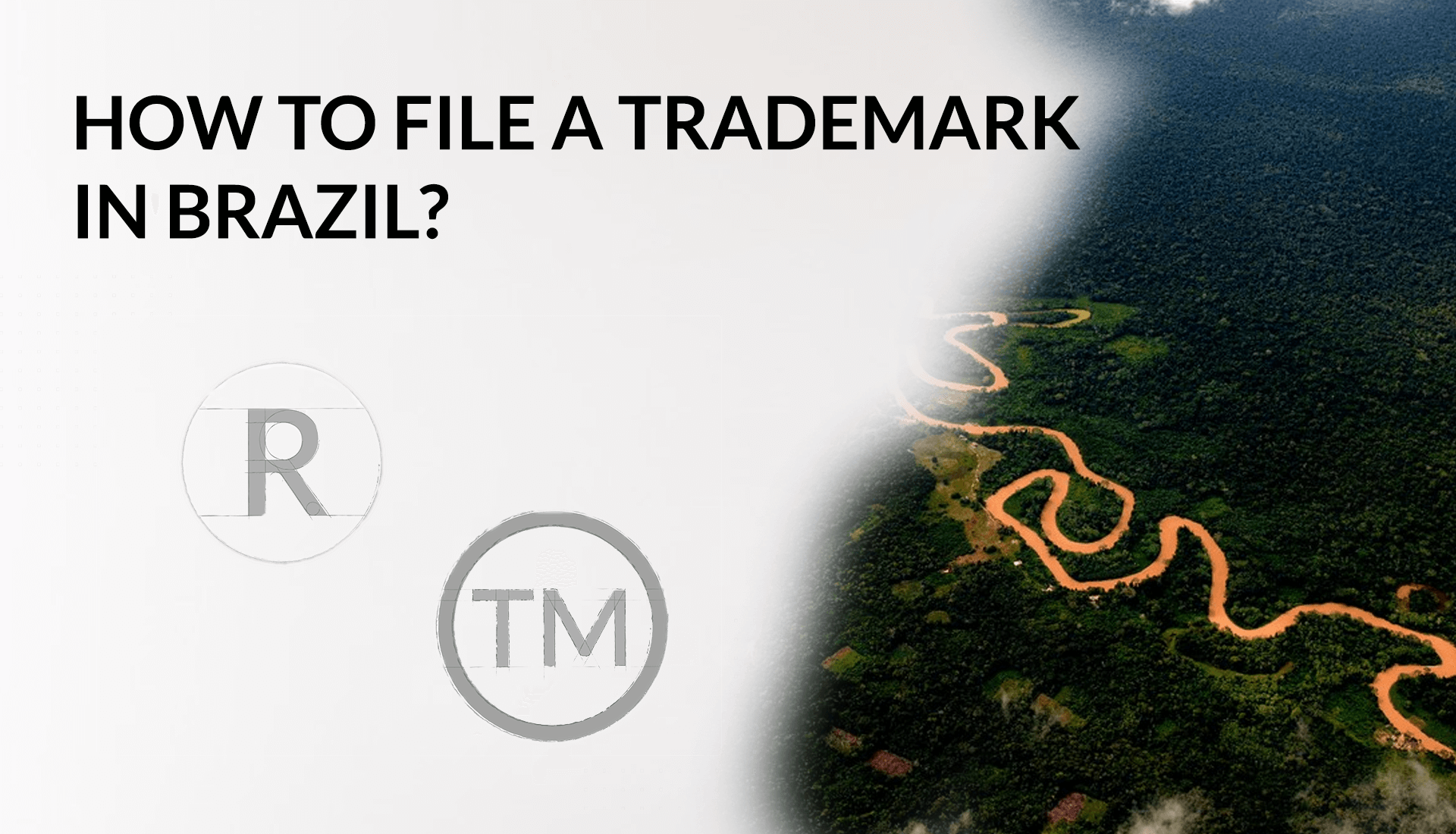 brazil trademark assignment
