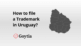 How to file a Trademark in Uruguay?